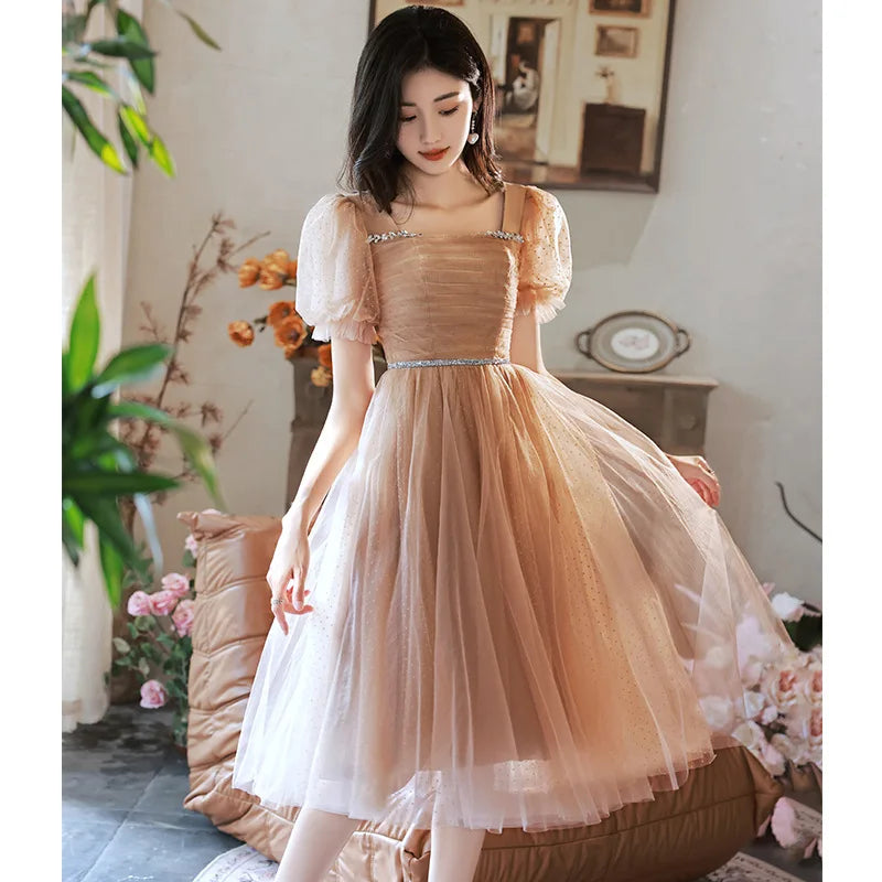 Exquisite Midi Length Ruffles Sleeve Tulle Sequin Dresses with Embroidery